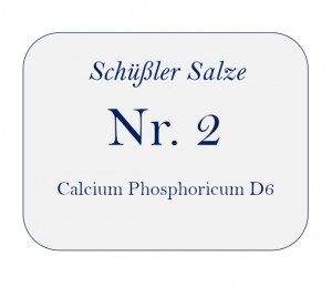 Nr.2 Calcium Phosphoricum D6 100g