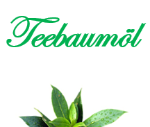 Teebaumöl 10ML