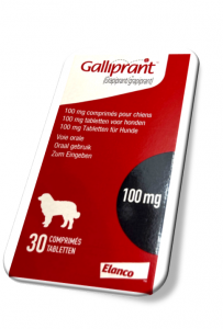 GALLIPRANT TABLET HUND 100 MG 30STK